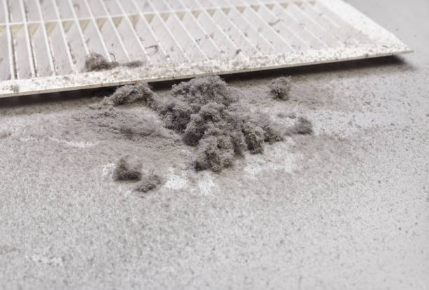 Best Air Duct Cleaning Near Me  in Angier, NC