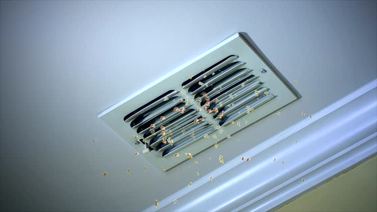 Best Commercial Air Duct Cleaning  in Angier, NC