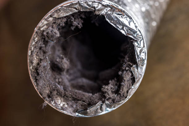 Best Residential Air Duct Cleaning  in Angier, NC